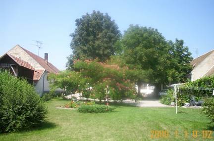 nagybaracskai telephely parkja